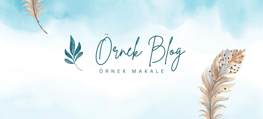 Örnek Blog 1