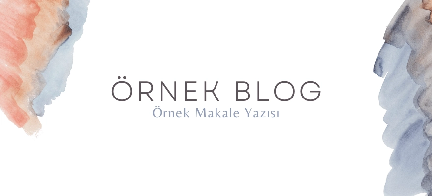 Örnek Blog 2