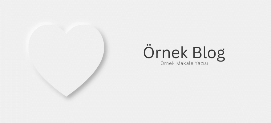 Örnek Blog 3
