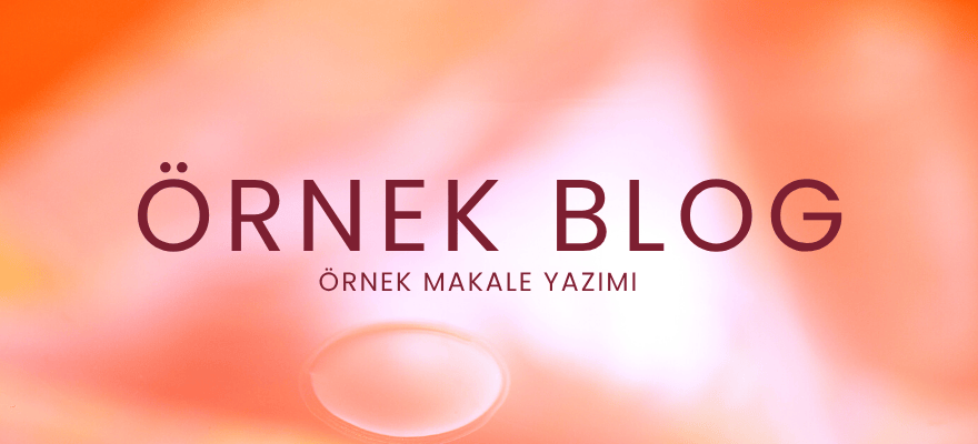 Örnek Blog 5